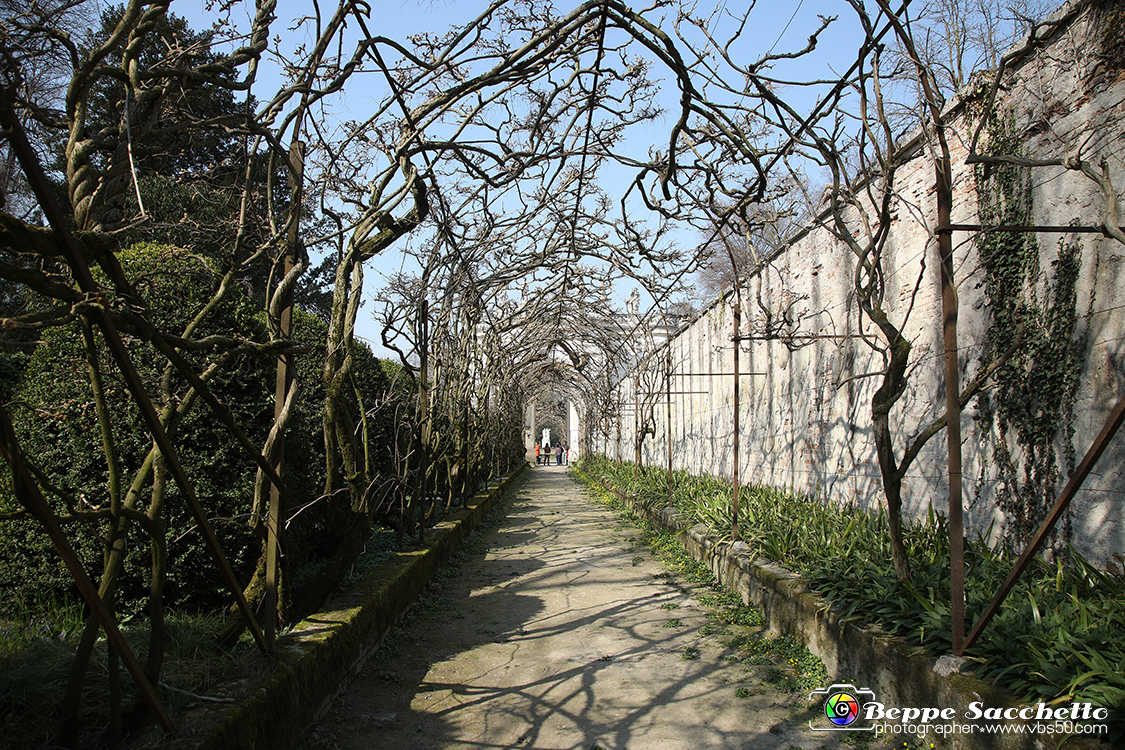 VBS_6446 - Villa Pisani - Stra (Venezia).jpg